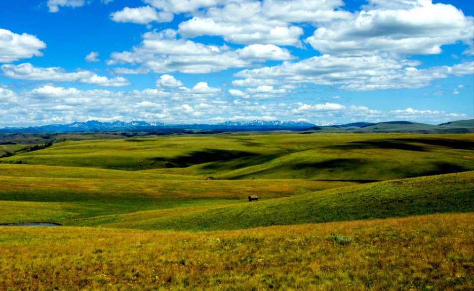 Zumwalt Prairie, Oregon