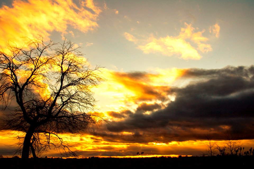 Winter sunset, Willamette Valley, Oregon