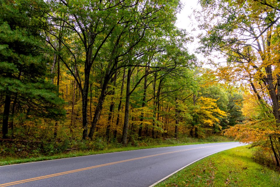 Fall Skyline Drive photo