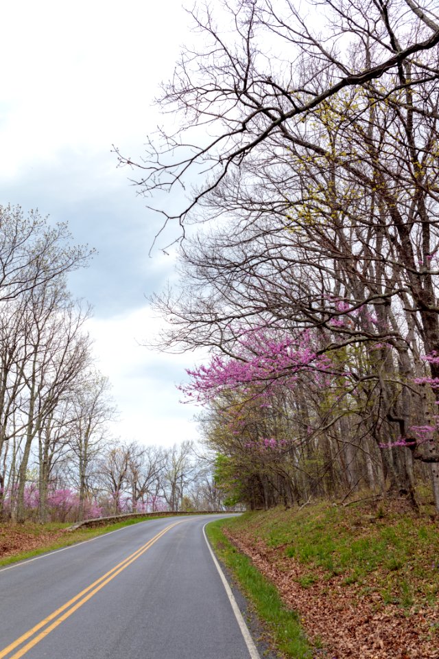 Early spring in the north district