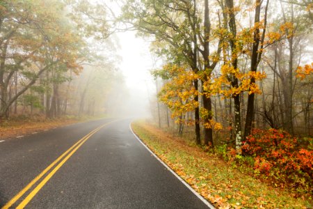 Fall Color - Skyline Drive photo