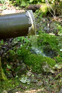 Water Quality Testing Activity
