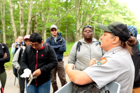 Groundwork RVA's Green Team