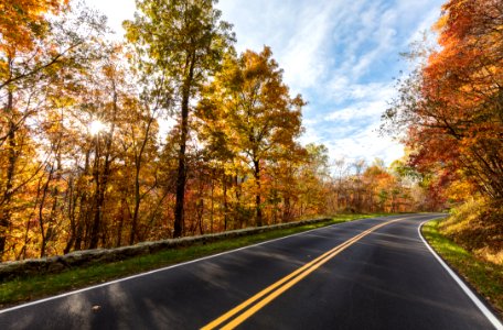 Fall - Skyline Drive photo