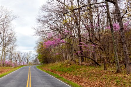 Early spring in the north district