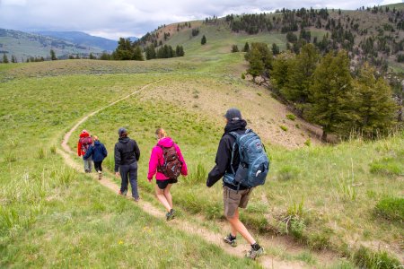 On the way to Specimen Ridge, Lamar Valley