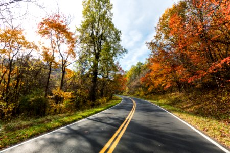 Fall - Skyline Drive
