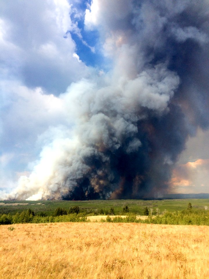 Maple Fire, August 15, 2016