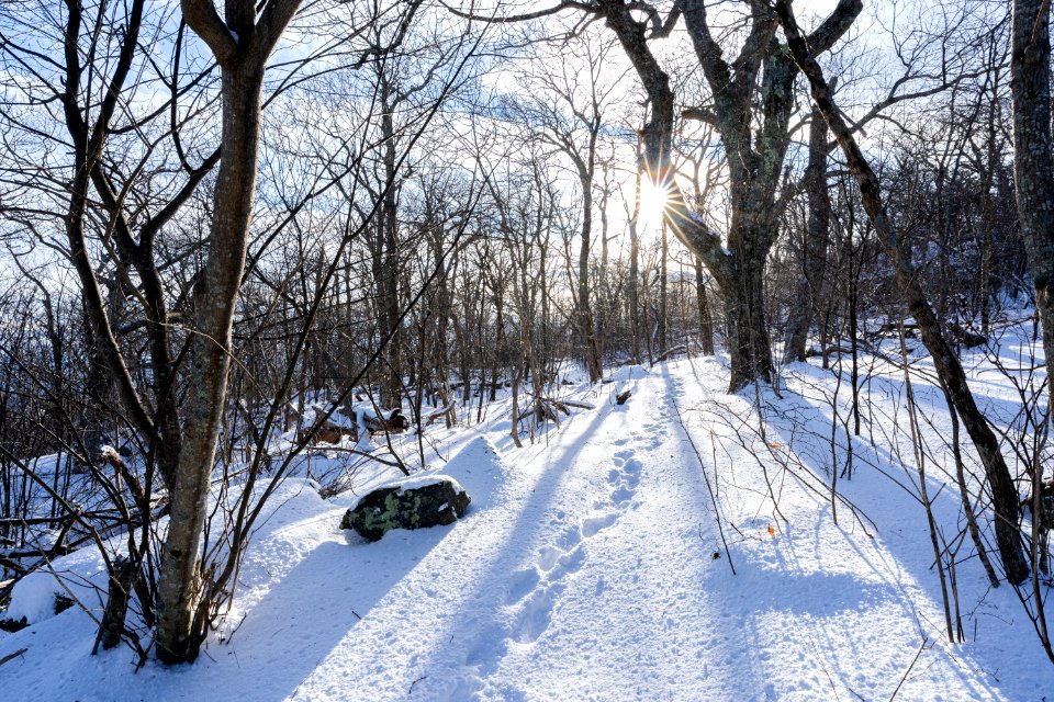 Appalachian Trail