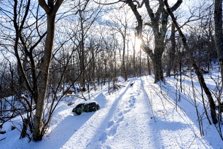 Appalachian Trail photo