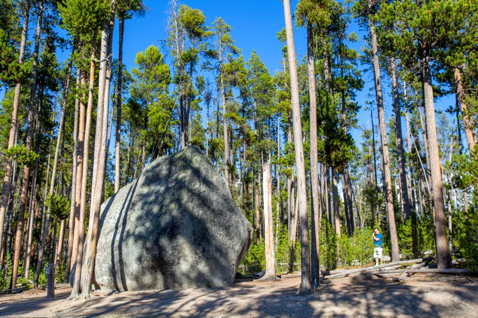 Glacial Boulder