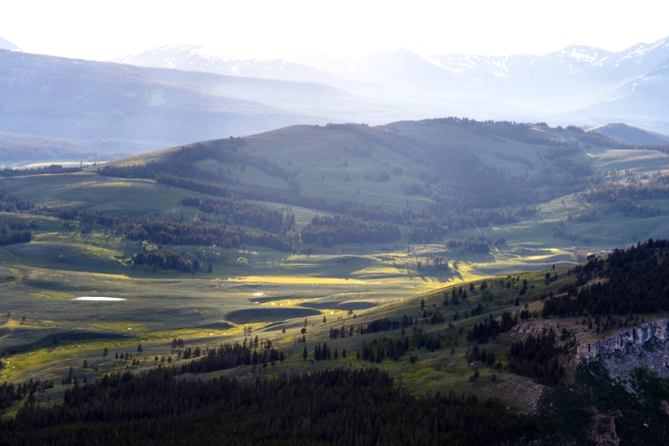 Glen Creek shimmers in the evening sunlight