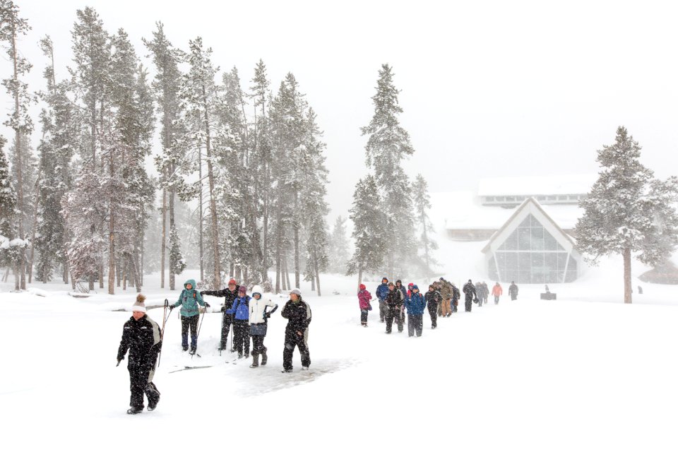 Walking to see Old Faithful in a blizzard