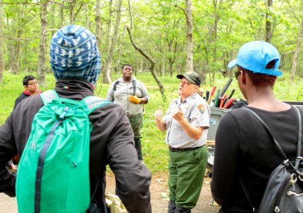 Groundwork RVA's Green Team