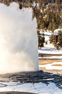 Old Faithful eruption from Observation Point (portrait) photo