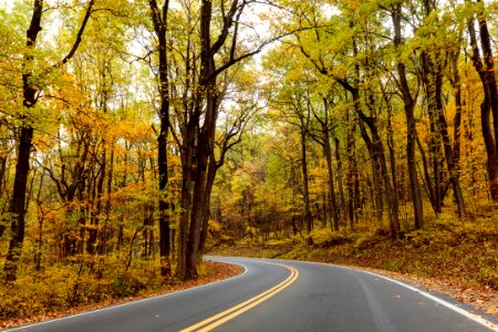 Fall - Skyline Drive