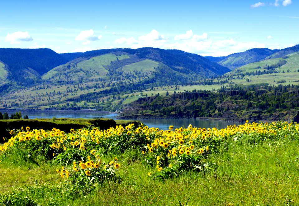 Rowena Crest, Oregon