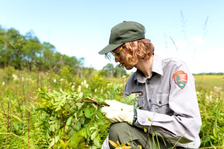 Groundwork RVA's Green Team