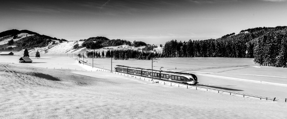 Bei Altmatt in schwarz-weiss