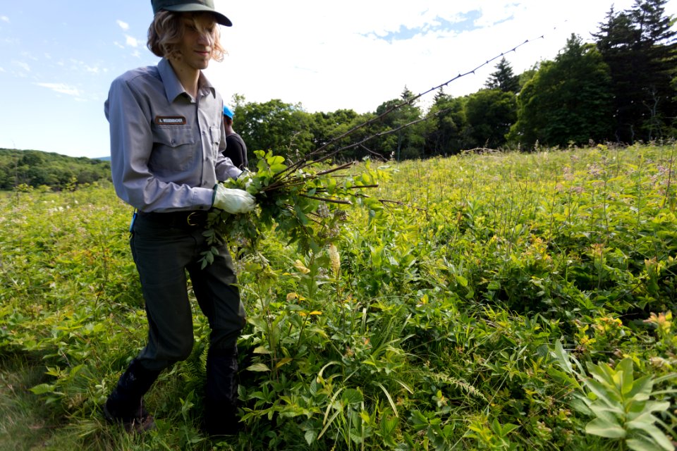 Groundwork RVA's Green Team
