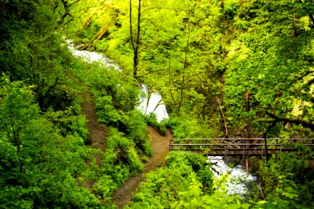 Oneonta Hiking Trail, Oregon photo