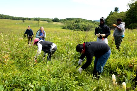 Groundwork RVA's Green Team