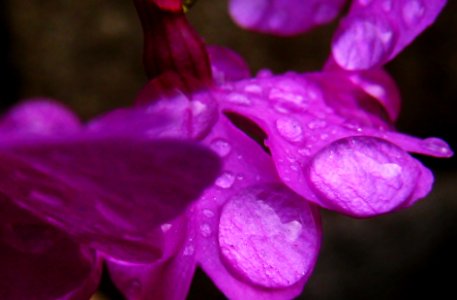 IMG 9649 X1
