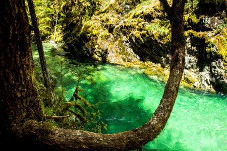 Opal Pool, Oregon