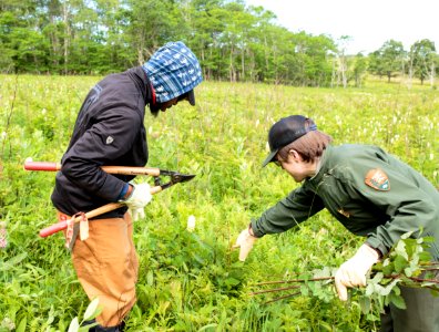 Groundwork RVA's Green Team