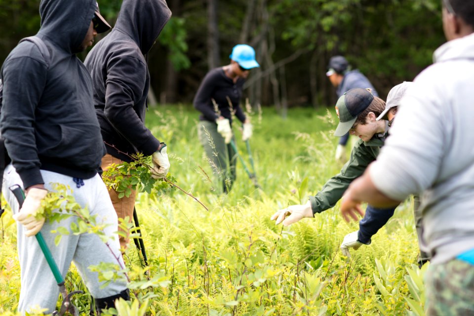 Groundwork RVA's Green Team
