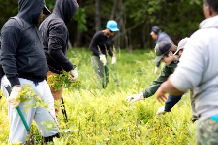 Groundwork RVA's Green Team