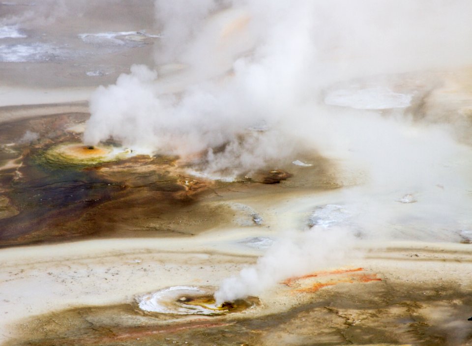 Thermal features in Porcelain Basin at Norris Geyser Basin