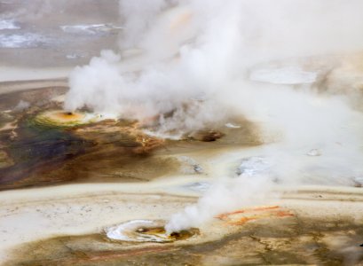 Thermal features in Porcelain Basin at Norris Geyser Basin