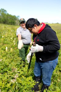 Groundwork RVA's Green Team