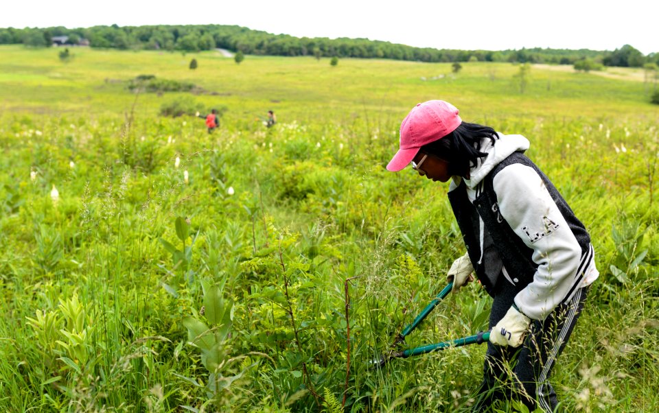 Groundwork RVA's Green Team