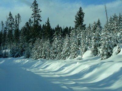 Headed into Grant Village (3)