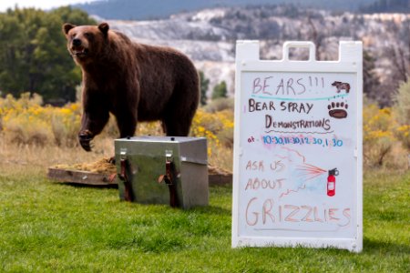 US Forest Service visit Yellowstone - Bear safety demonstrations