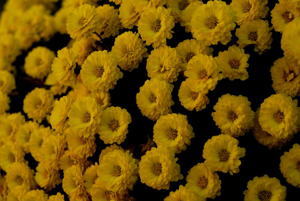 DN2 1885 044 6D