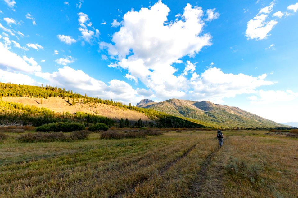 Hikers passing through Frenchy Meadow (2)