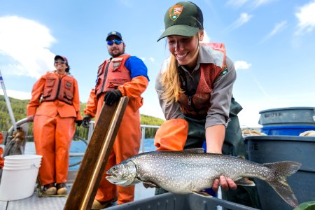 Lake trout caught by the crew of the NPS Hammerhead