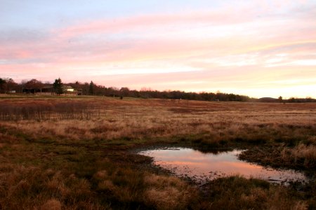 Vernal Pond - Big Meadows