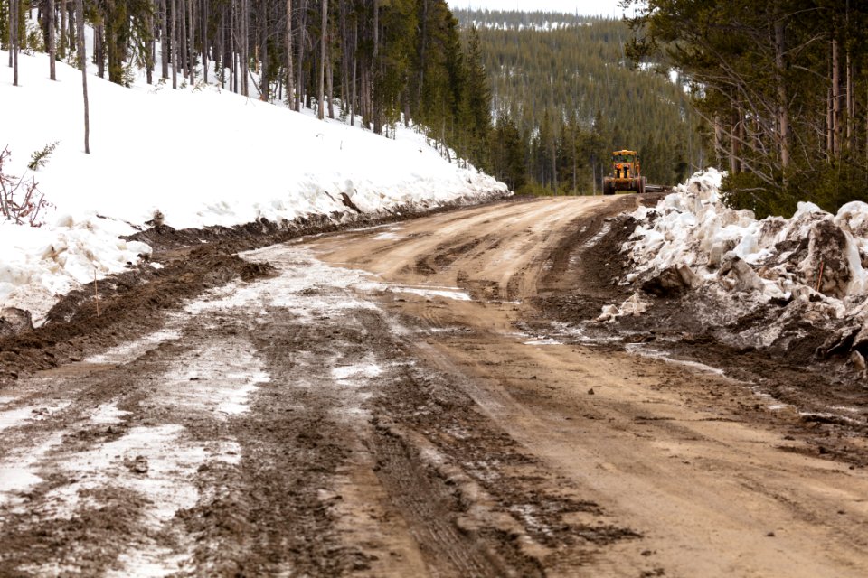 Construction zone between Mammoth Hot Springs and Norris Geyser Basin 4/16/18