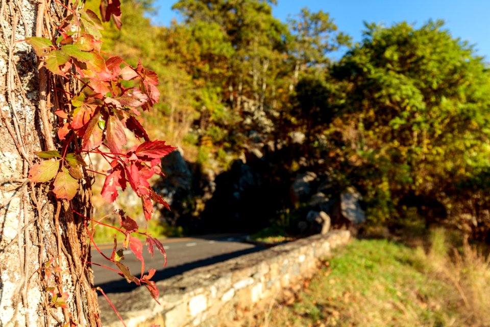 Tunnel Parking Overlook