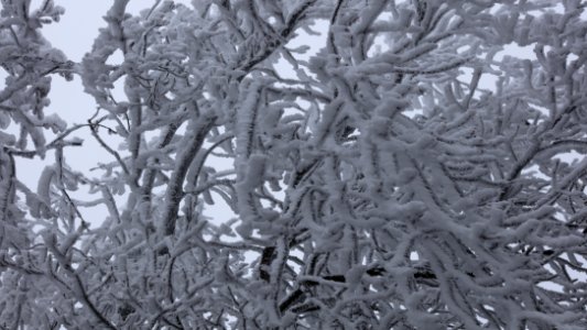 Frozen fog