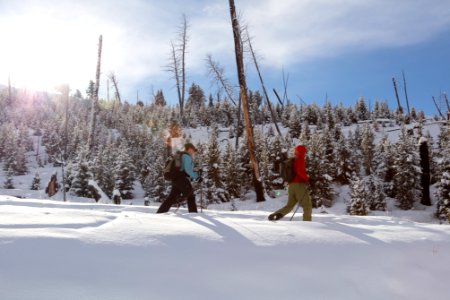 Skiers headed to Petrified Tree along the Lost Lake Ski Trail