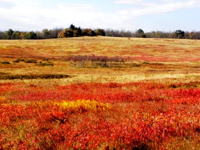 Fall in Big Meadows
