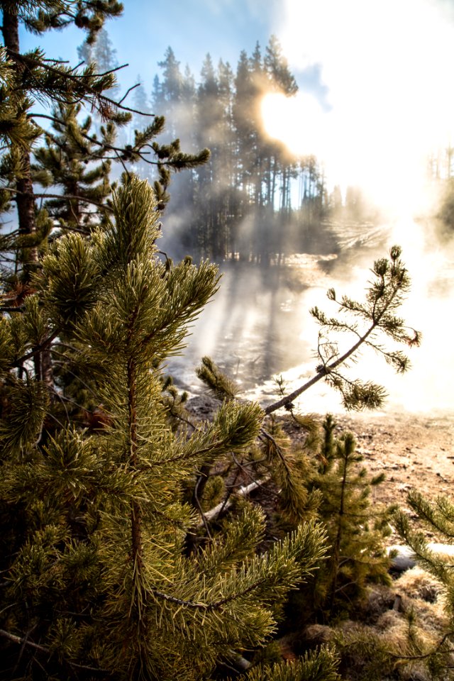 Frying Pan Spring Morning Steam Portrait
