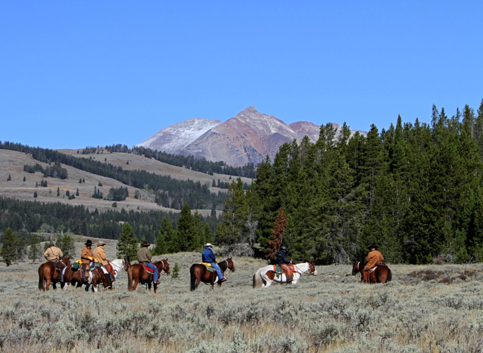Trail ride