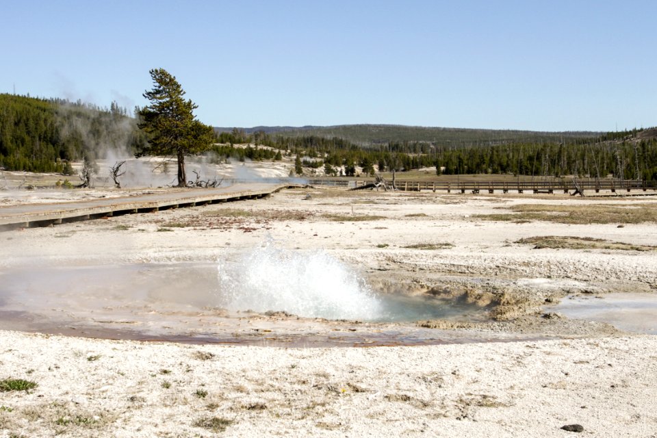 East Mustard Spring, Biscuit Basin