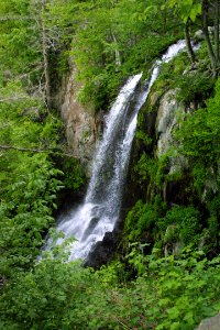 Lewis Falls